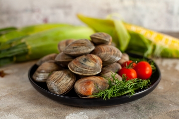 One Dozen Local Littleneck Clams (12)